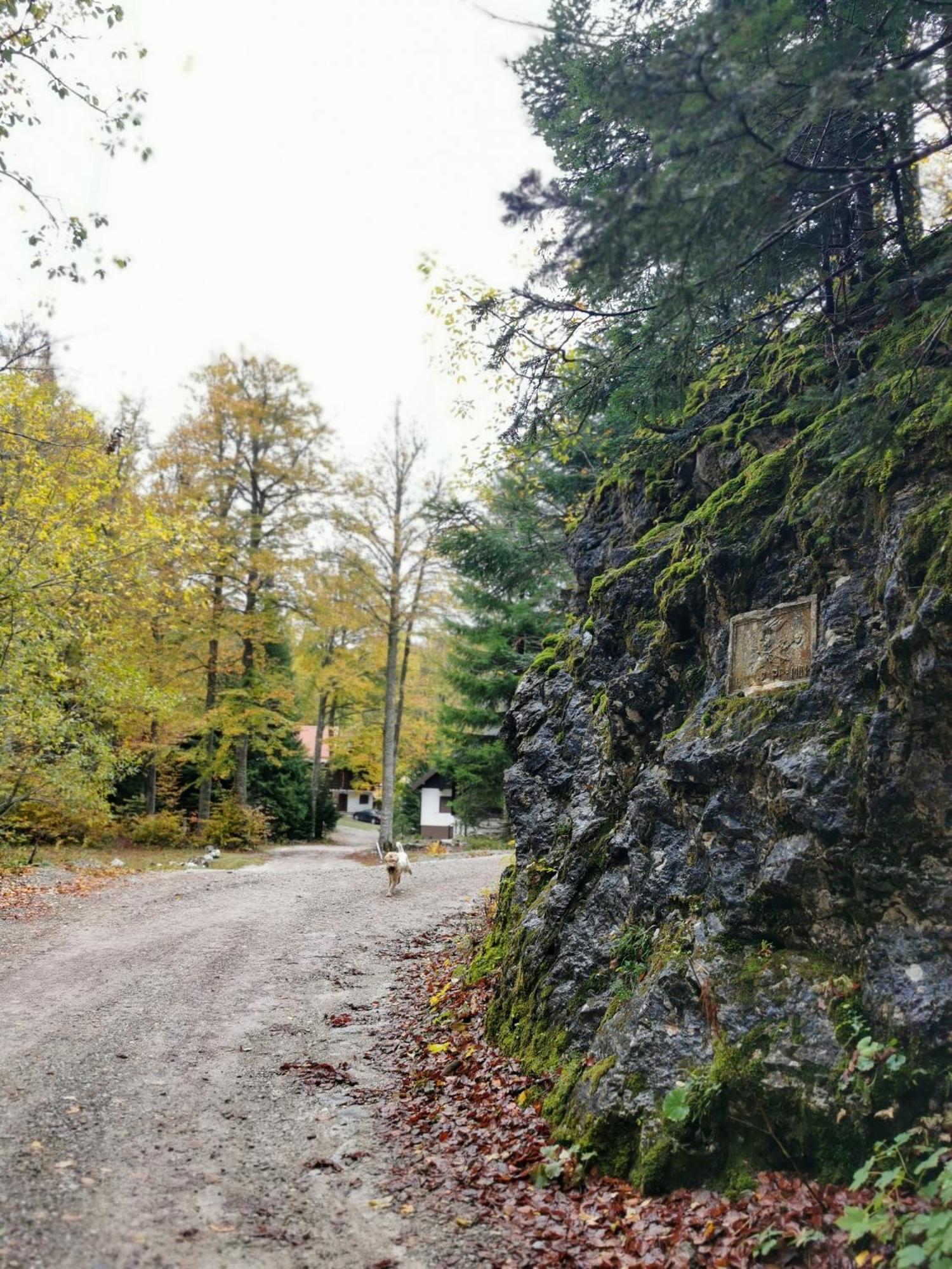 Koca Kresnica Villa Ilirska Bistrica Kültér fotó