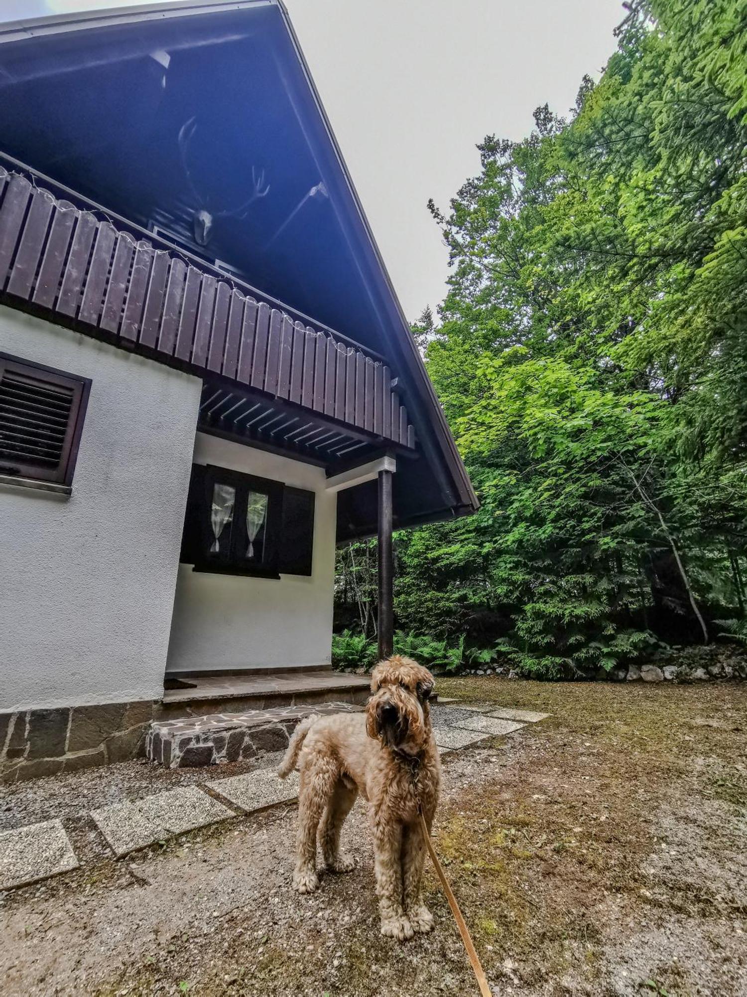 Koca Kresnica Villa Ilirska Bistrica Kültér fotó